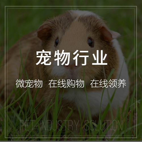 医疗APP制作中的在线问诊行业黑话解析